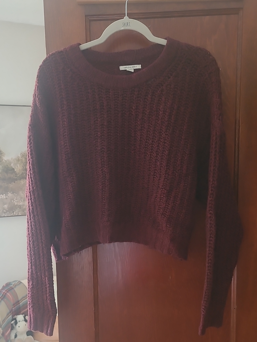 American Eagle Maroon Cable Knit Sweater